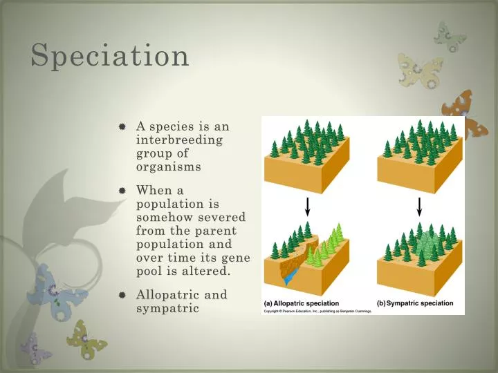 Ppt Speciation Powerpoint Presentation Free Download Id2011582