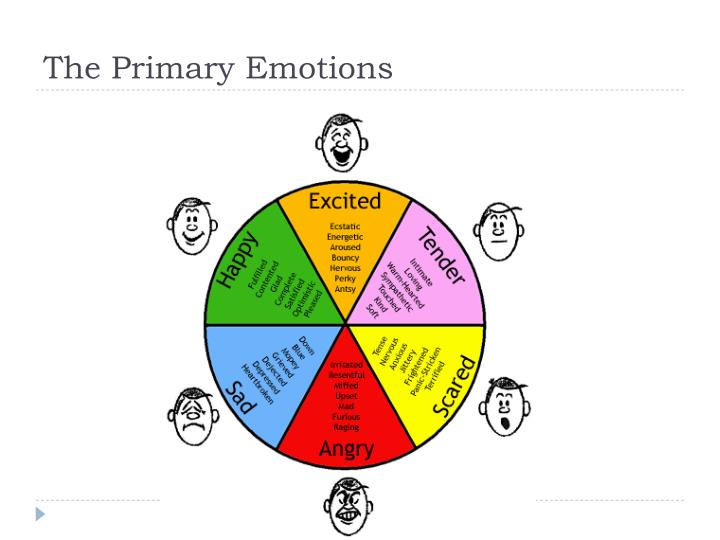 Primary And Secondary Emotions Diagram