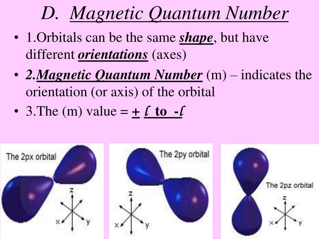 What Does The Magnetic Quantum Number Determine