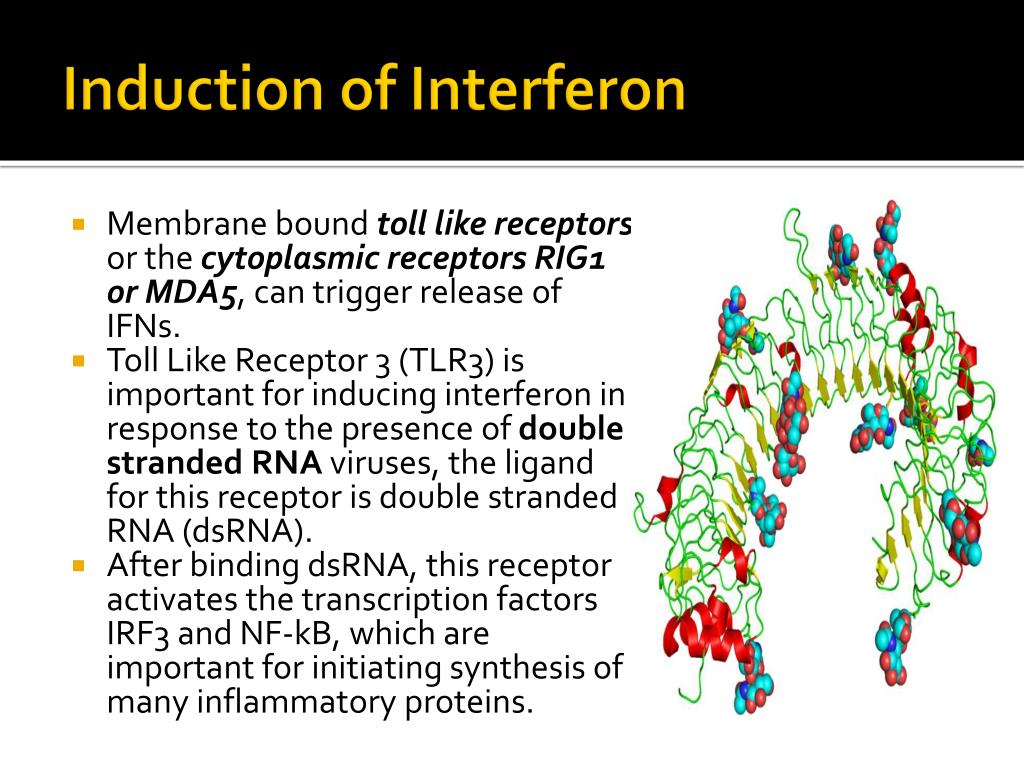 interferon használat condyloma esetén