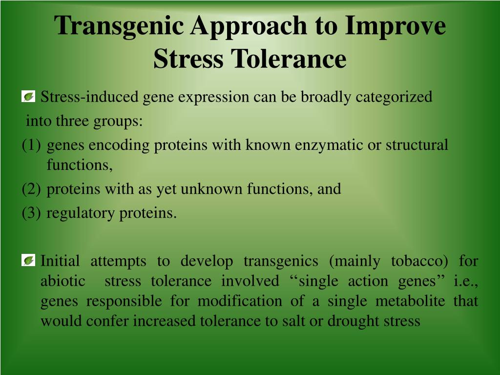 PPT - Transgenic Approaches For Abiotic Stress Tolerance In Plants ...