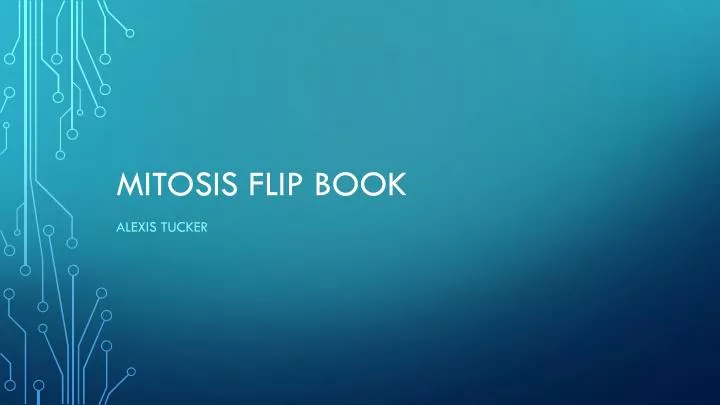 mitosis flip book pictures presentation mitosis flip book pictures presentation