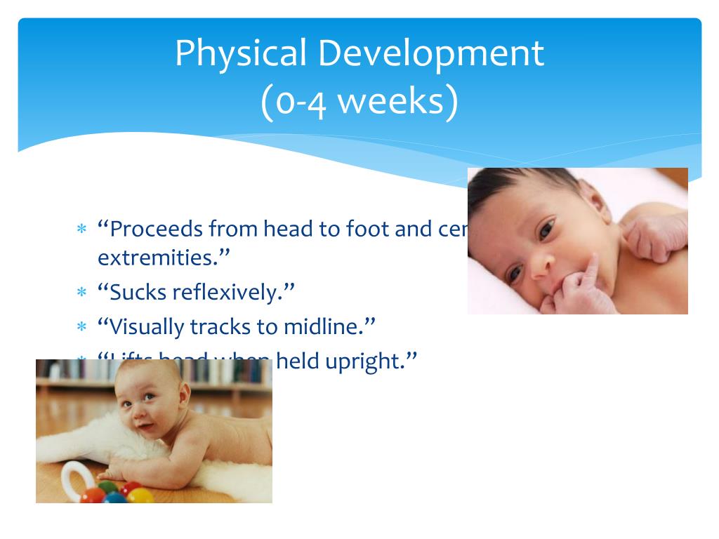 PPT Infancy and Toddlerhood (Birth to 3 years) PowerPoint Presentation ID2015452