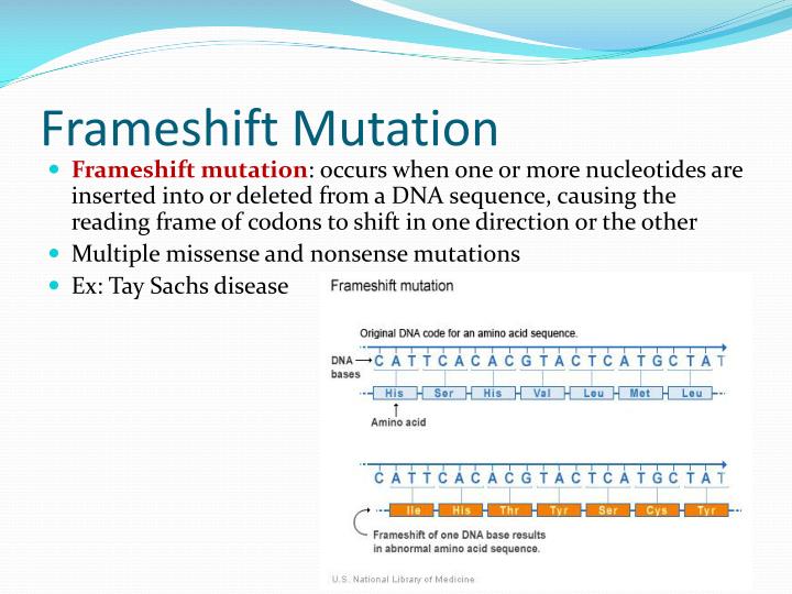 PPT Mutations PowerPoint Presentation ID2015860