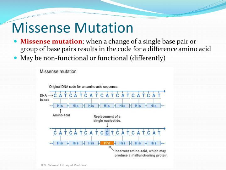 PPT - Mutations PowerPoint Presentation - ID:2015860