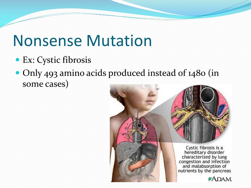 Ppt mutations powerpoint presentation free download id 2015860