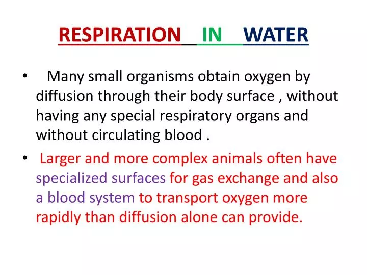 PPT - RESPIRATION IN WATER PowerPoint Presentation, free download - ID:2016663 PPT - RESPIRATION IN WATER PowerPoint Presentation, free download - ID:2016663