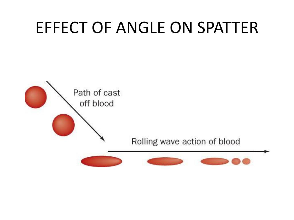 PPT - BLOOD SPATTER PowerPoint Presentation, free download - ID:2016669