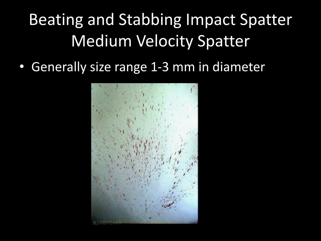 PPT - BLOODSTAIN PATTERNS PowerPoint Presentation, free download - ID