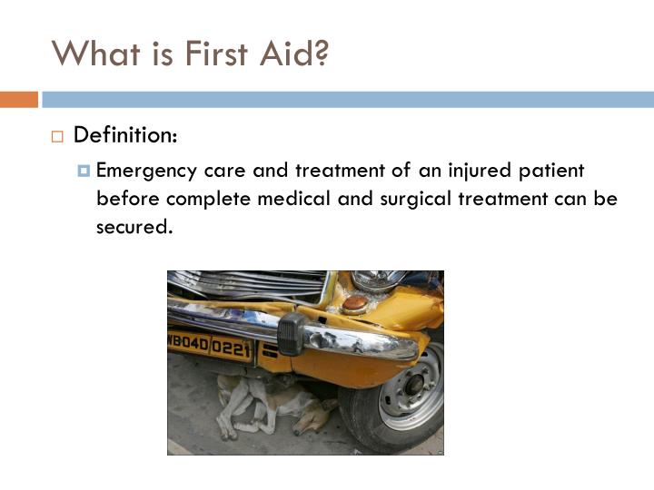 PPT Handling , Transportation, First Aid, and CPR of Injured Companion Animals PowerPoint