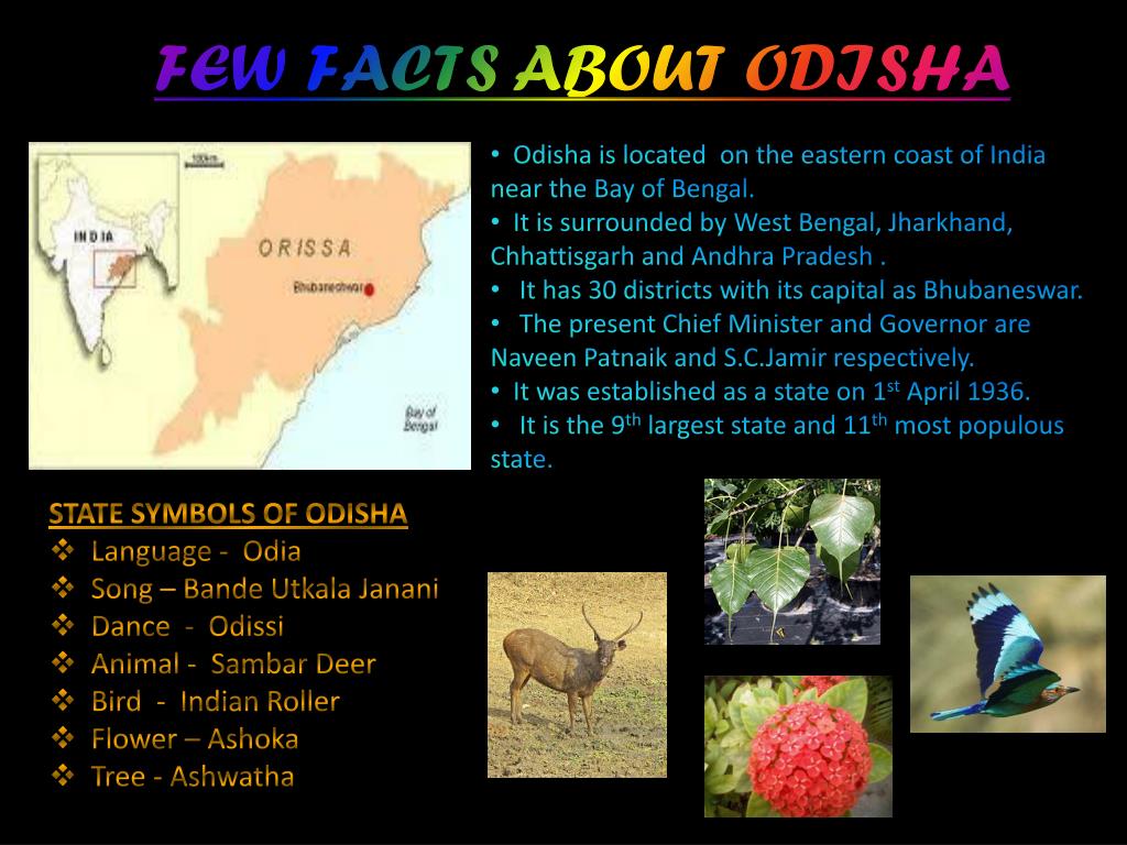 powerpoint presentation on odisha in hindi