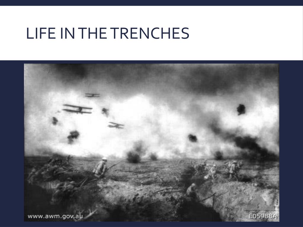 PPT - Life in the Trenches Part II PowerPoint Presentation, free download -  ID:2119705