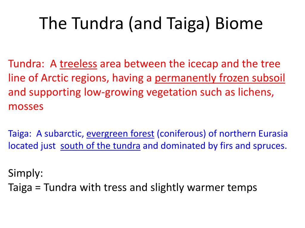 PPT - The Tundra (and Taiga) Biome PowerPoint Presentation, free download -  ID:2018307