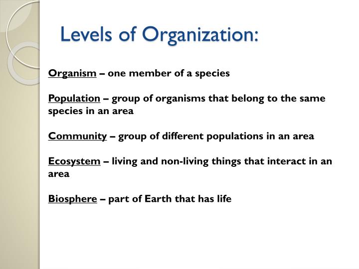 organization as organism Organism metaphor of an organization organism metaphor of an organization introduction all the organizational theories and management comprises of metaphors or particular images that allows us to understand and visualize conditions in. organization as organism Organism metaphor of an organization organism metaphor of an organization introduction all the organizational theories and management comprises of metaphors or particular images that allows us to understand and visualize conditions in.