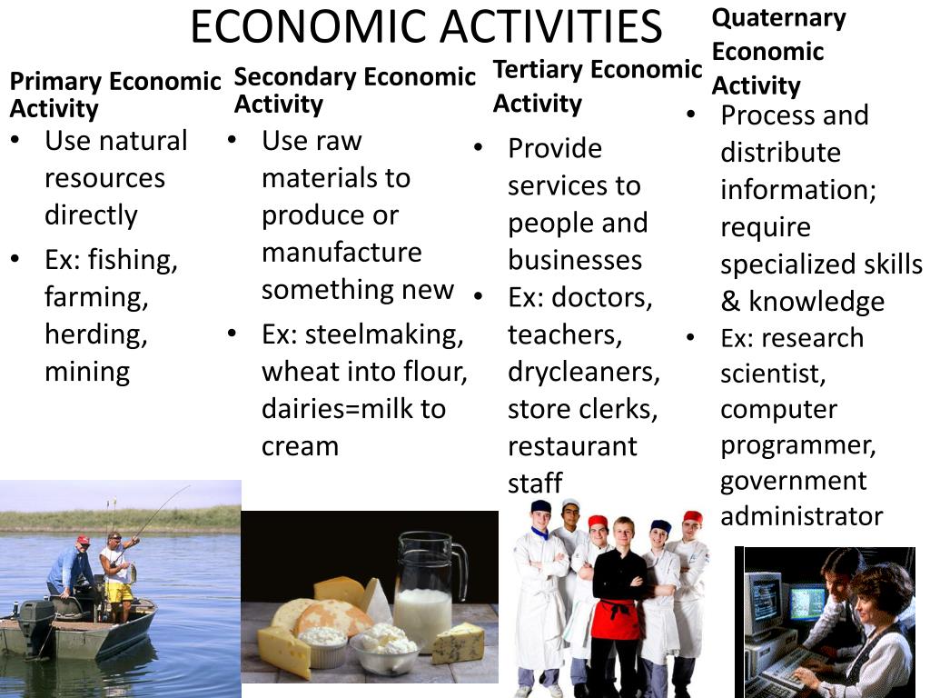 quaternary economic activity definition geography quaternary economic activity definition geography