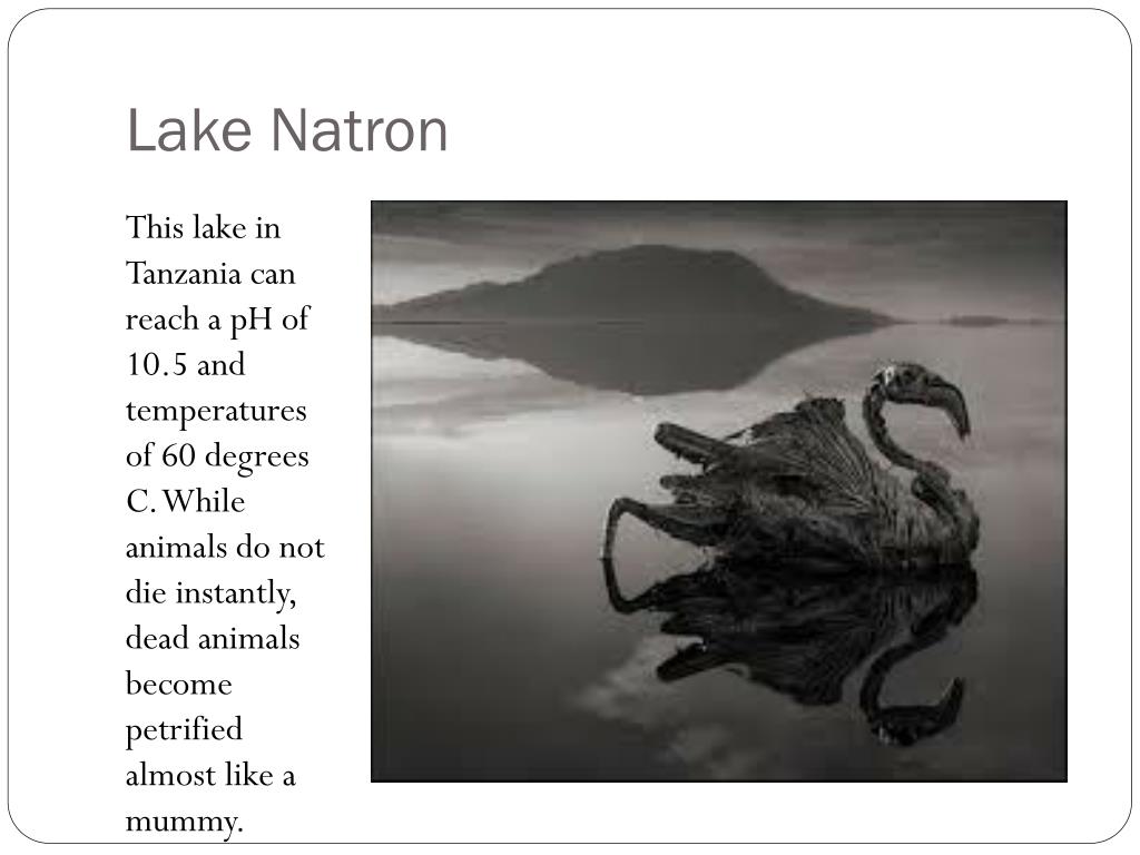 lake natron facts lake natron facts