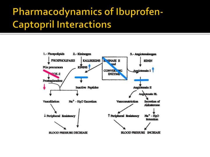 Captopril Drug Interactions