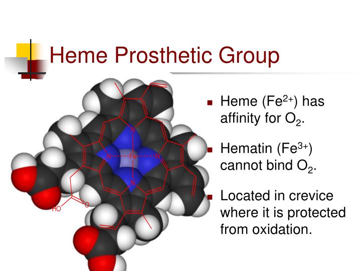 PPT Myoglobin & Hemoglobin PowerPoint Presentation ID2019714