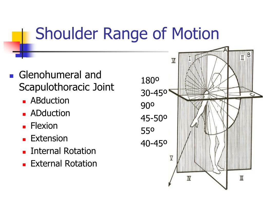 Normal Shoulder Range Of Motion Chart