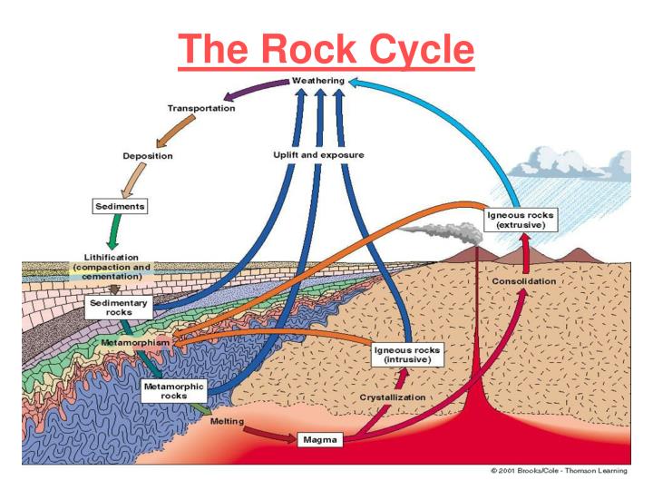 PPT - Rock Cycle- Sec. 2.1 PowerPoint Presentation - ID:2020031