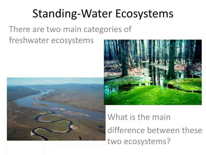 PPT StandingWater Ecosystems PowerPoint Presentation, free download ID2021137