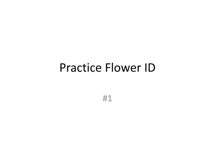 practice flower id n.