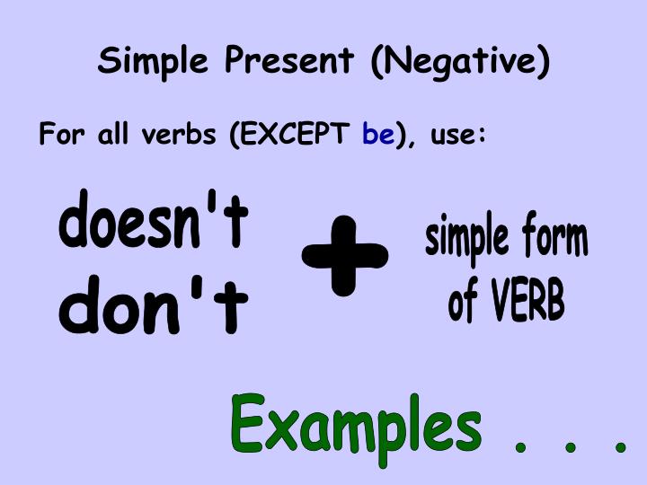 Simple Present Tense Soru Cümleleri İngilizce