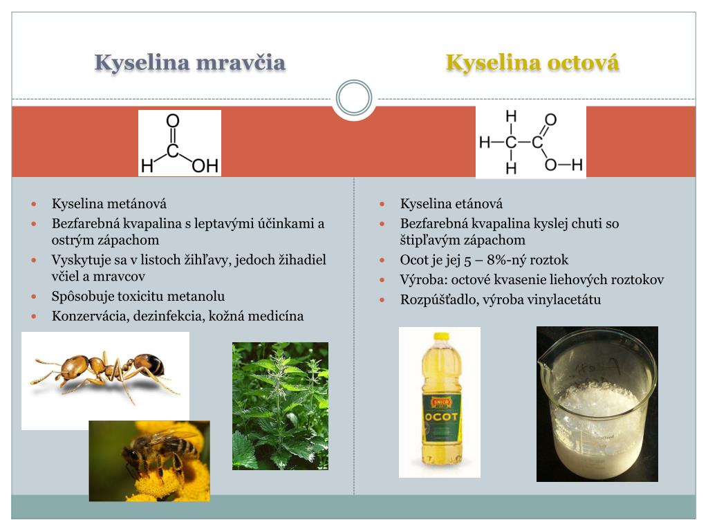 PPT - Karboxylové kyseliny PowerPoint Presentation, free download -  ID:2023653