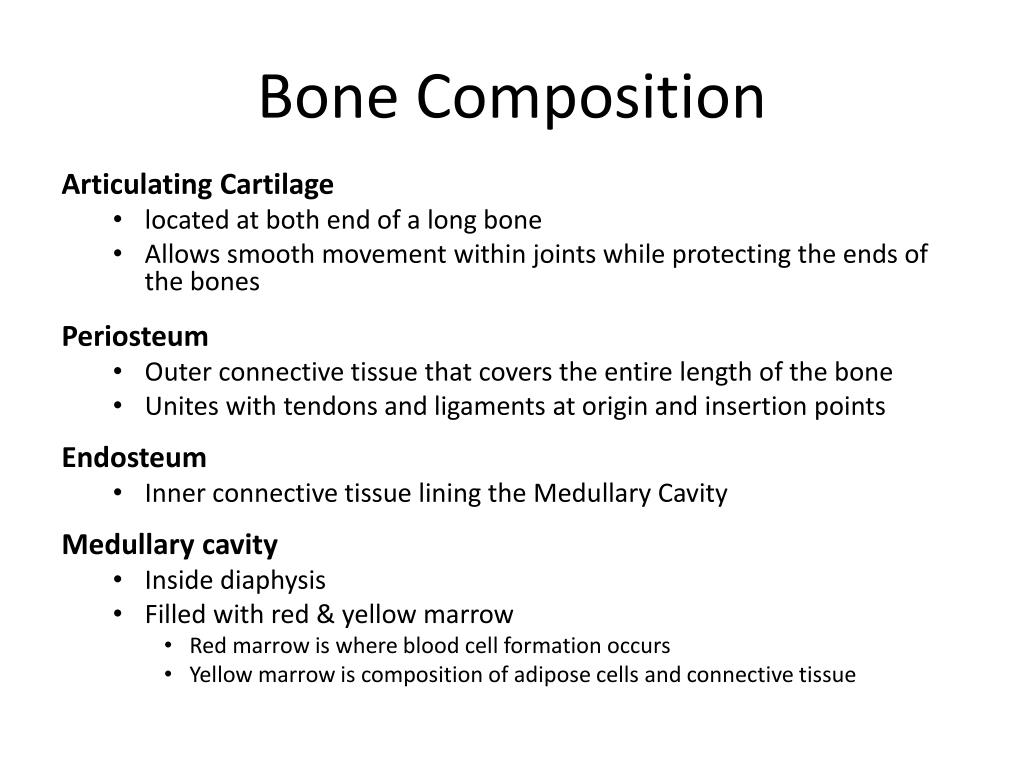 PPT - Bone Composition PowerPoint Presentation, free download - ID:2023881