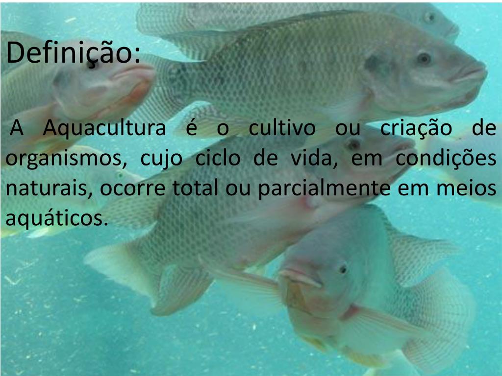 PPT - Aquacultura em Minas Gerais PowerPoint Presentation, free