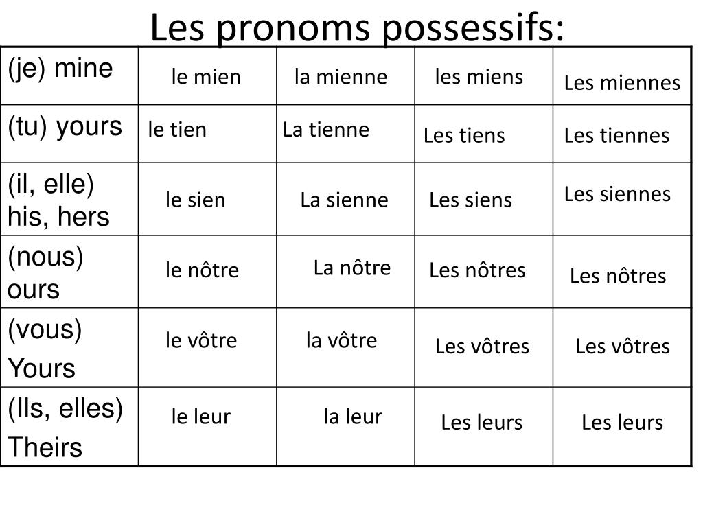 Les Pronoms Possessifs Pdf