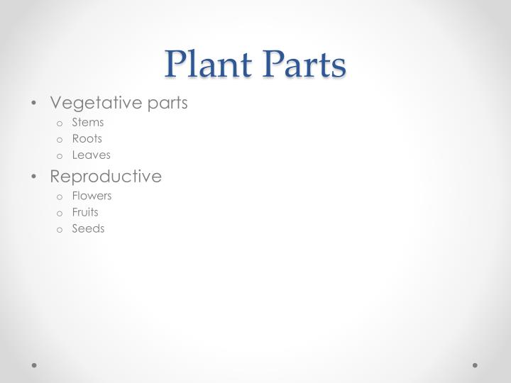 plant physiology ppt