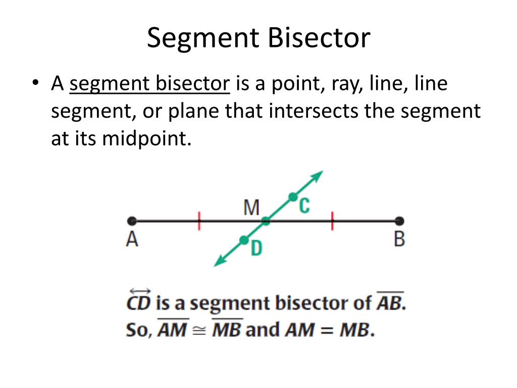 Proof Definition Of Segment Bisector - payment proof 2020