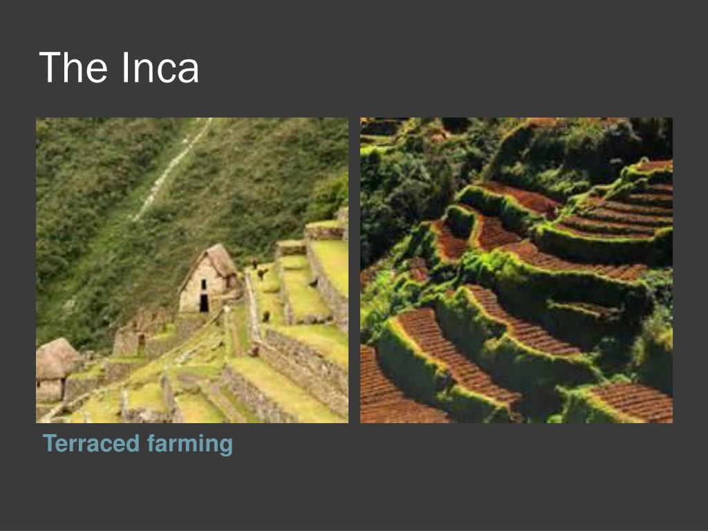 PPT - Achievements of Mesoamericans PowerPoint Presentation, free ...