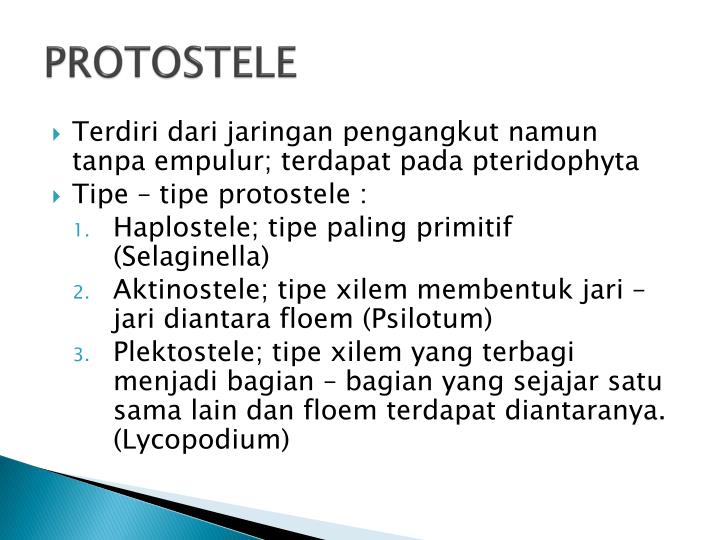 PPT - BATANG PowerPoint Presentation - ID:2026342