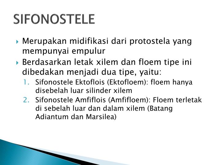 PPT - BATANG PowerPoint Presentation - ID:2026342