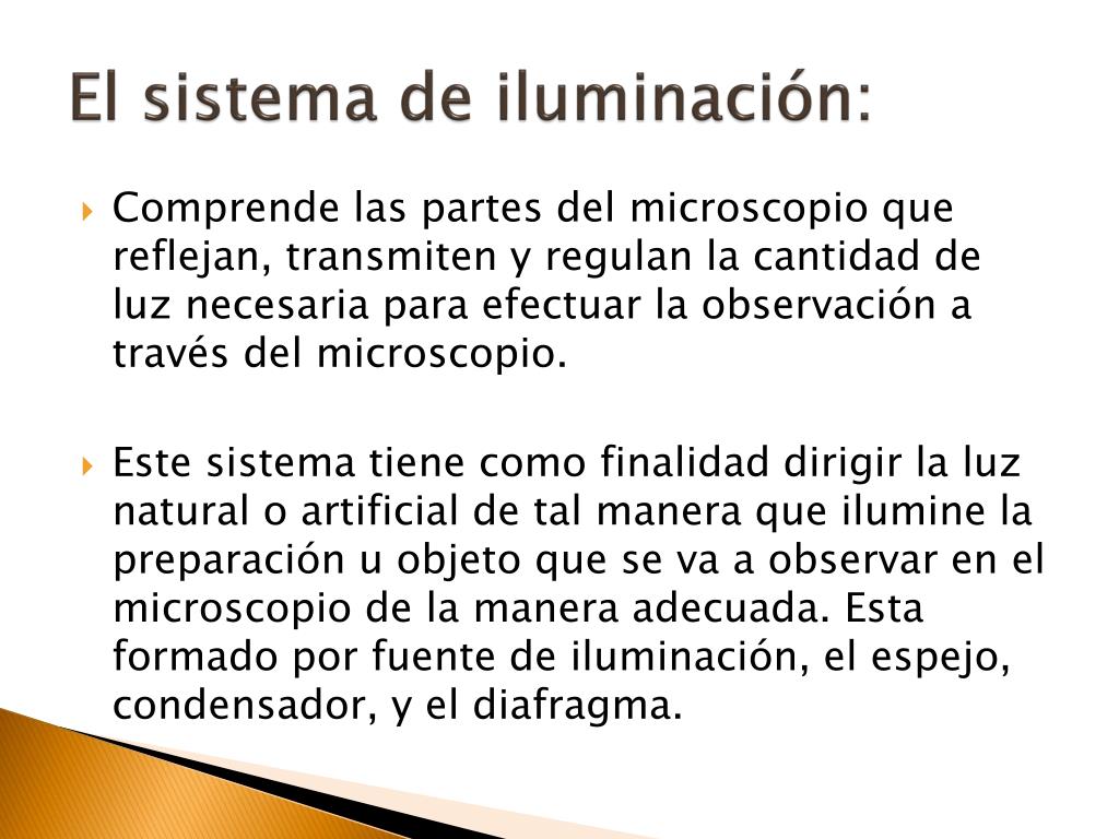 PPT - Microscopio Compuesto PowerPoint Presentation, free download -  ID:2026575