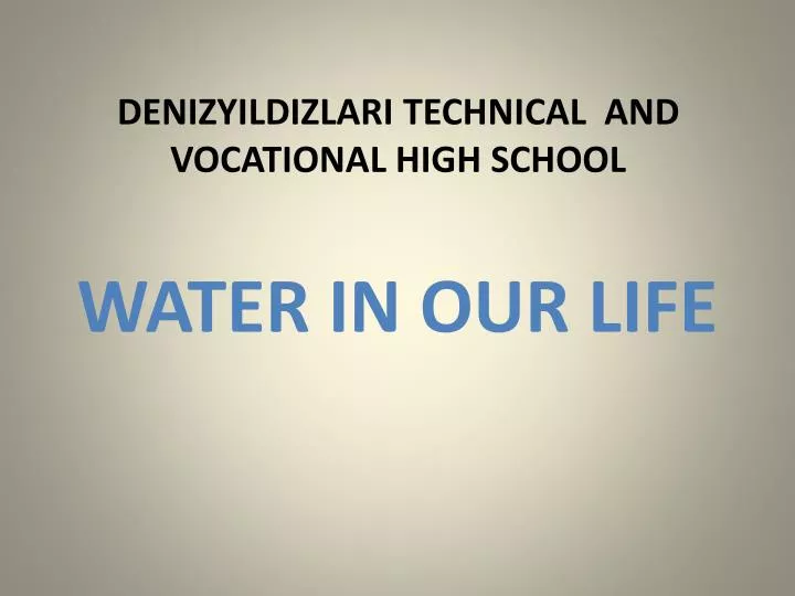 denizyildizlari technical and vocational high school n.