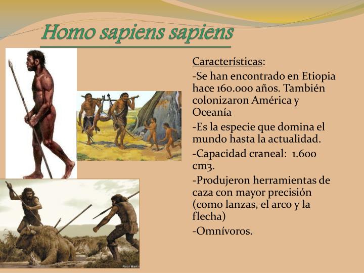 PPT - Evolución de los homínidos PowerPoint Presentation - ID:2027476