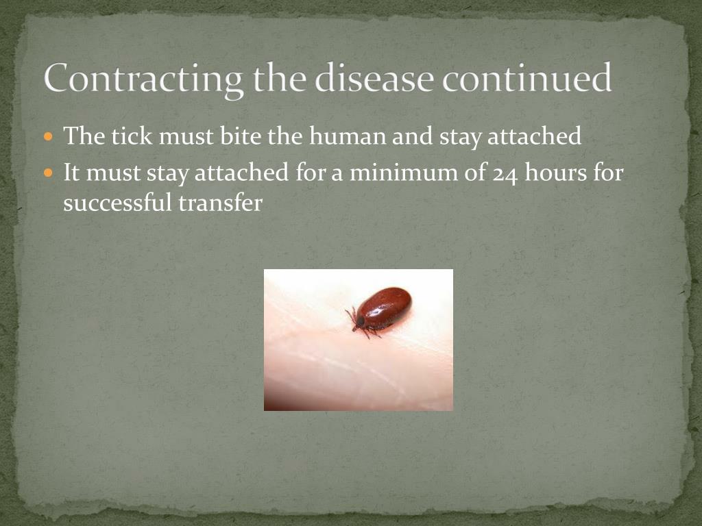 PPT - Lyme Disease PowerPoint Presentation, free download - ID:2027554.