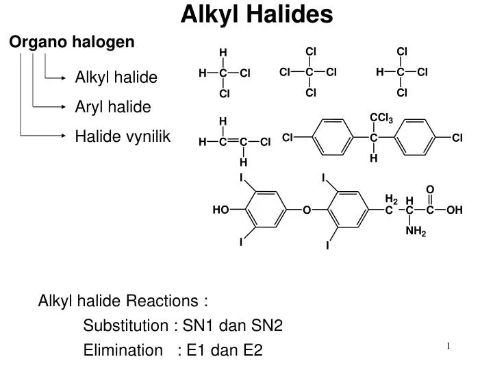 PPT - Alkyl Halides PowerPoint Presentation, free download - ID:2027688