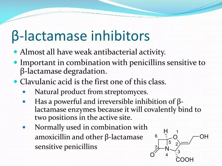 PPT - β -lactamase Inhibitors PowerPoint Presentation, Free Download ...