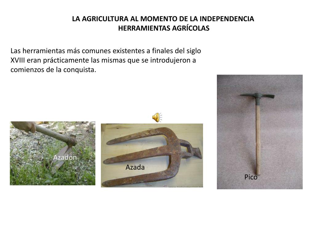 PPT - LA AGRICULTURA AL MOMENTO DE LA INDEPENDENCIA HERRAMIENTAS AGRÍCOLAS  PowerPoint Presentation - ID:2027991