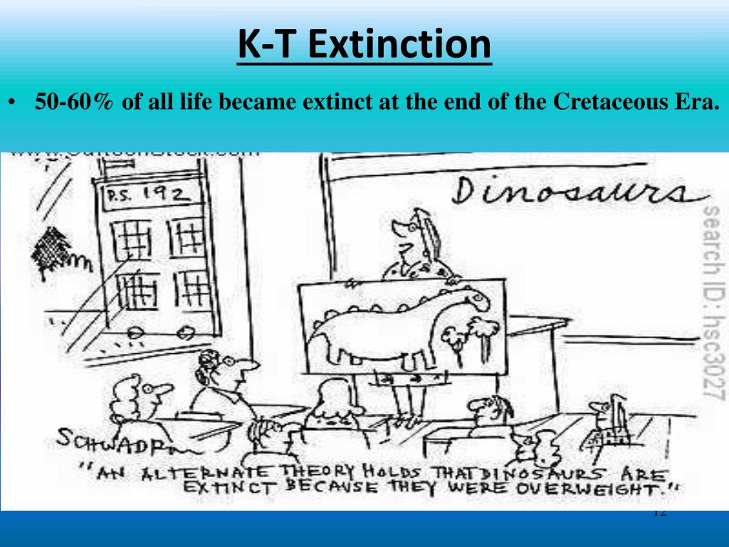 kt extinction in detail