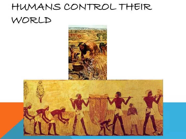 humans control their world n.