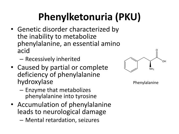 PPT Phenylketonuria (PKU) PowerPoint Presentation ID2028345