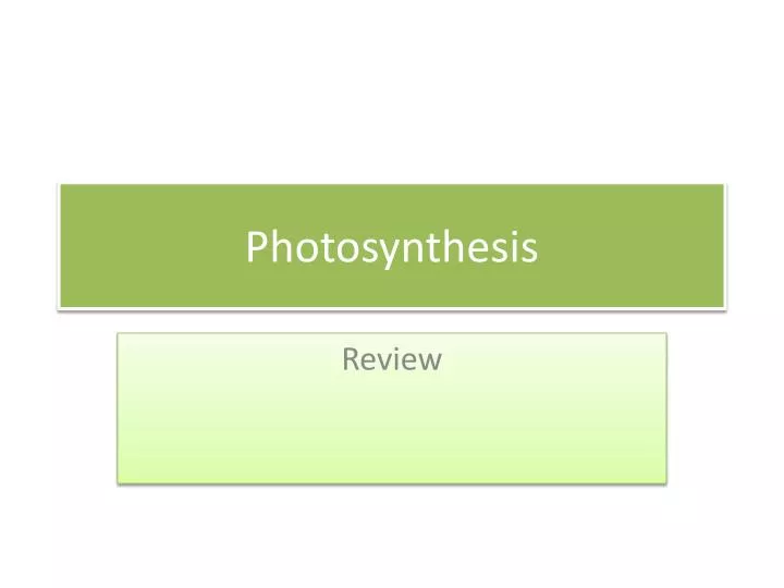 PPT - Photosynthesis PowerPoint Presentation, free download - ID:2028834