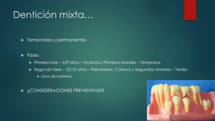 PPT - Generalidades de la cronología, erupción y morfología dentaria ...