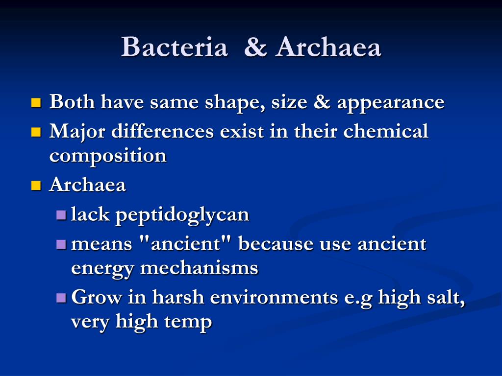 Archaea Bacteria Eukarya Differences
