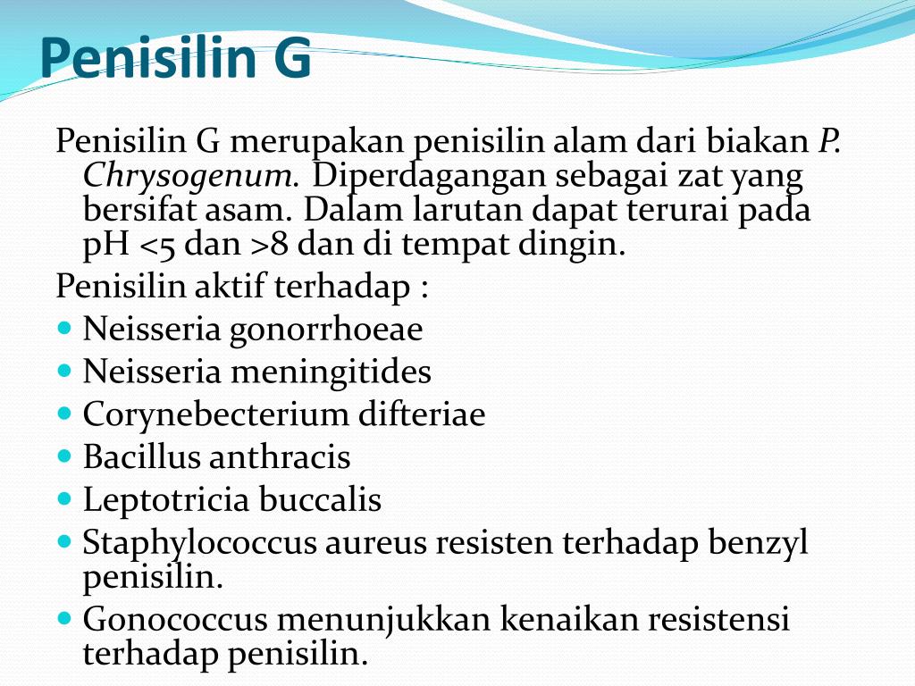 Penisilin adalah